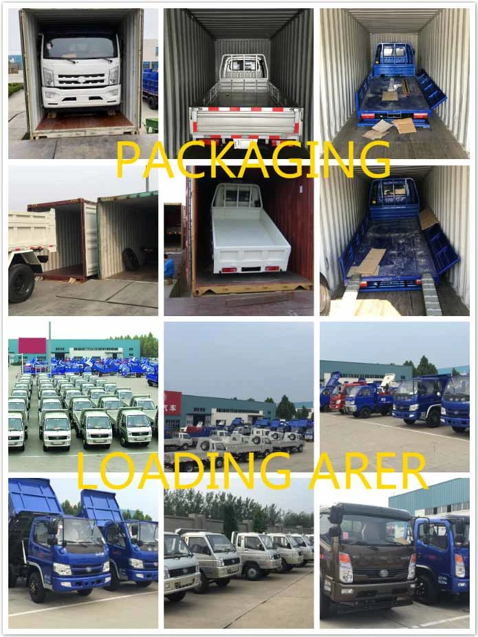 Light Duty Lorry/Mini/Wheel/Commercial Vehicle/Flatbed/Flat Bed Cargo Box Truck