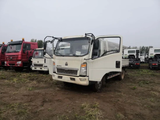 2022 2023 Новый HOWO 4X2 130HP 160HP Cummins Yuchai Motor Cargo Truck Euro2 Euro3 Van Fence Flat Boardlight Truck с левой и правой рукой на продажу